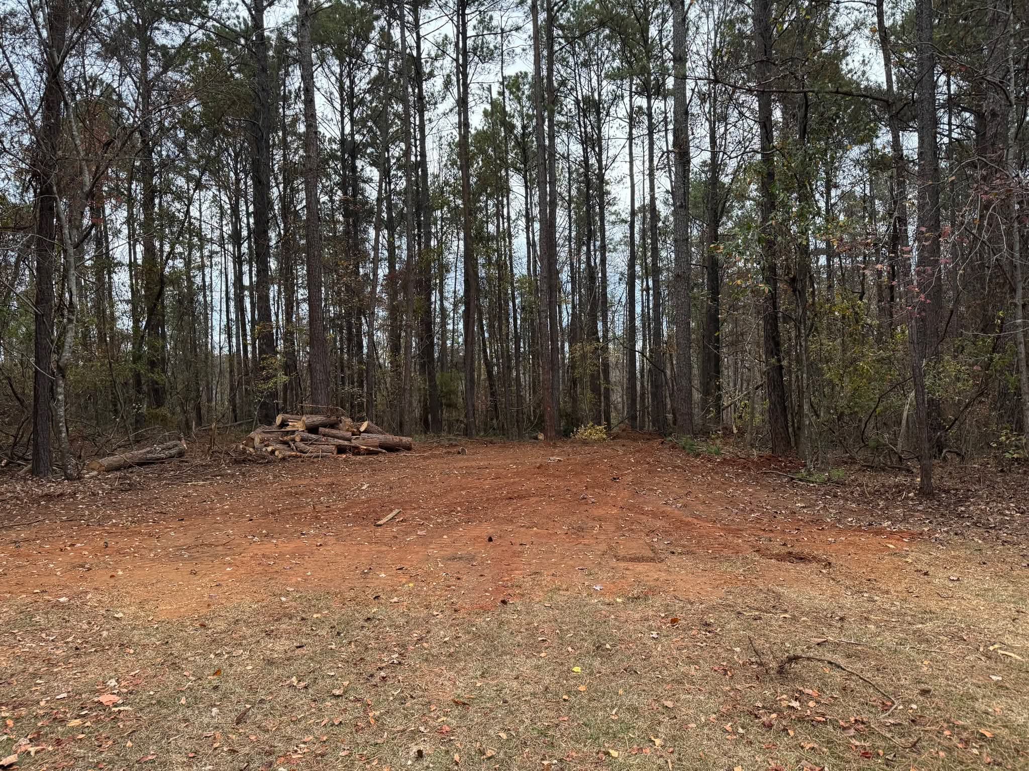 Land clearing result