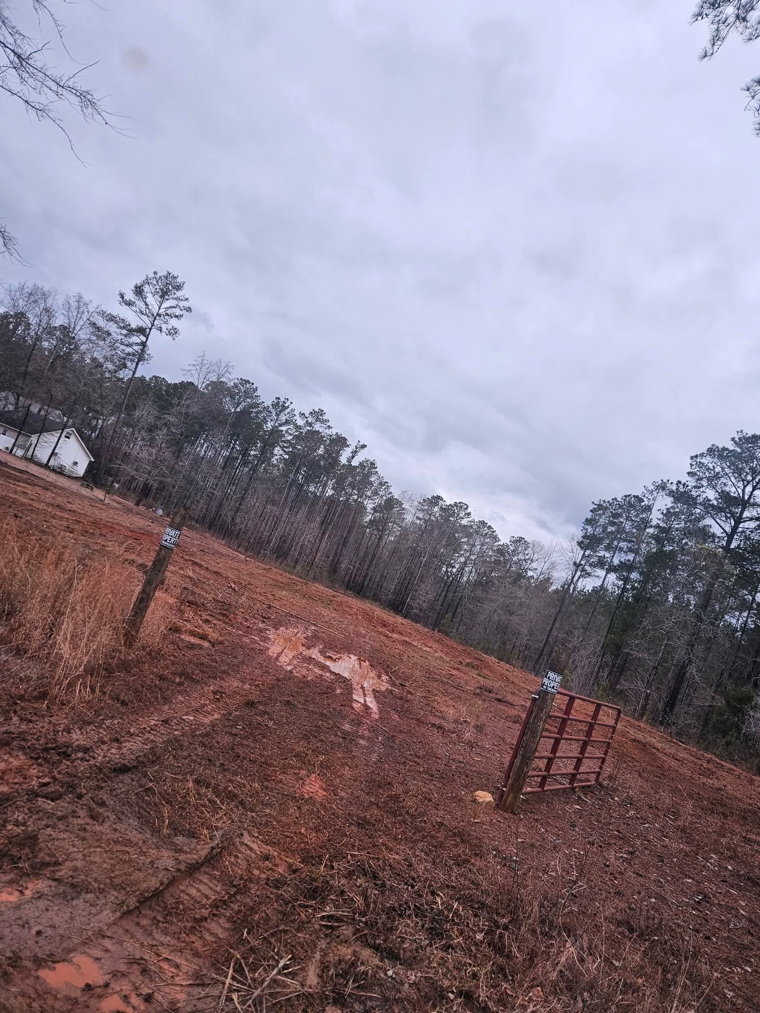 Cleared pasture